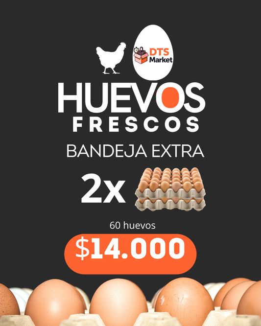 2 Bandejas Huevo Extra